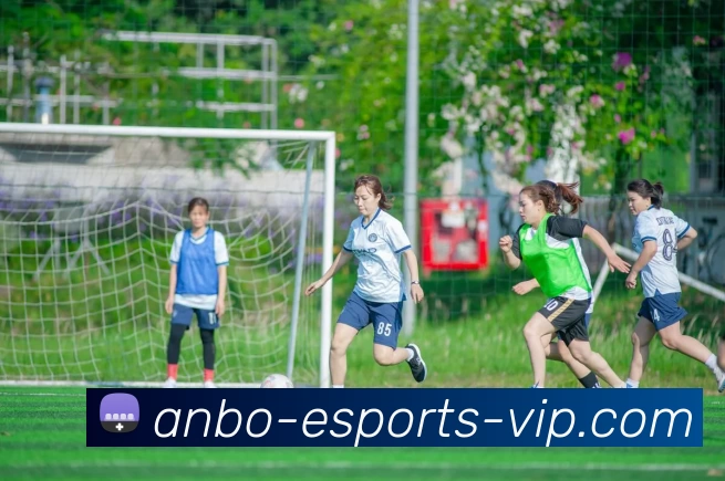 安博电竞VIPAPP 封面图